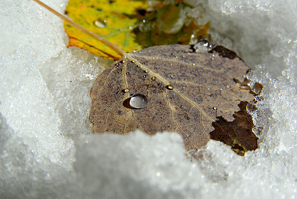 Frozen Drops 2