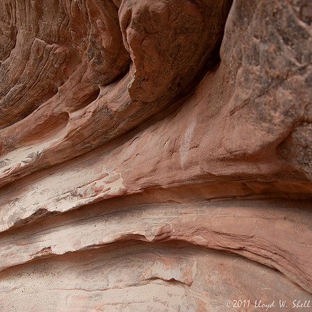 Frozen Curves #1