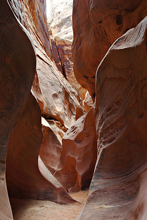 Little Wild Horse Canyon #4
