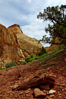 Capitol Reef NP