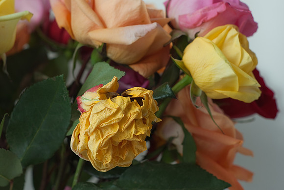 f5.6