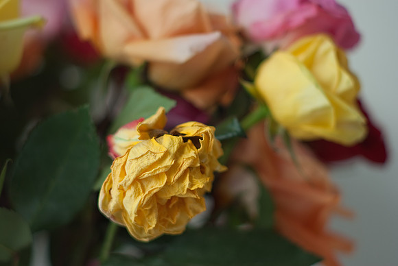 F 1.8
