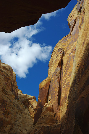 Little Wild Horse Canyon #6