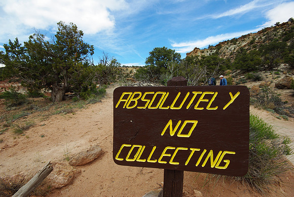 Original Sign