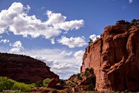 Long Canyon, Burr Trail April 2024
