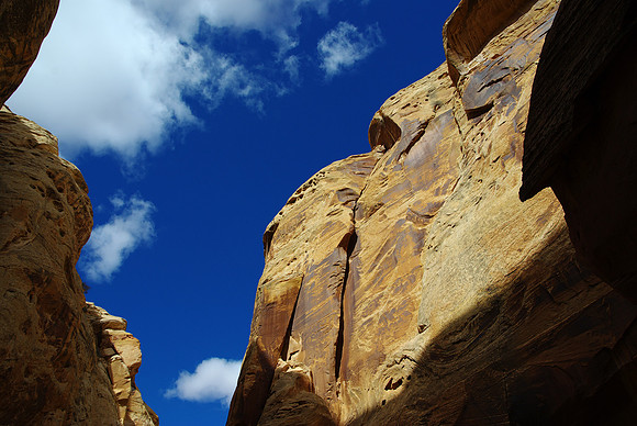 Little Wild Horse Canyon #5