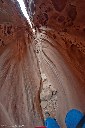 Fisheye Fun #1