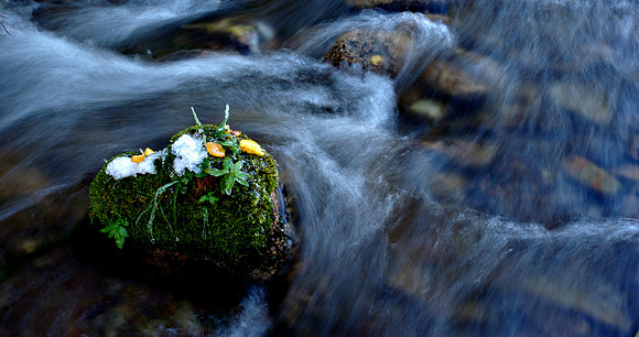 Water and Ice