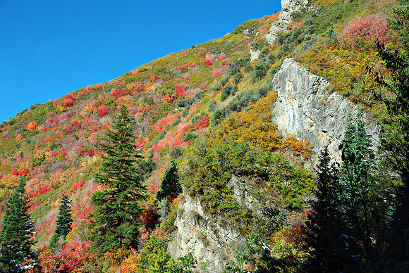 Down Canyon