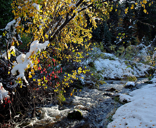 Millcreek Canyon 2009 #1