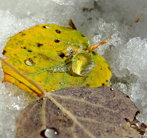 Frozen Drops 3