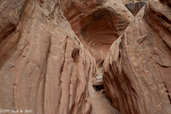 Rocky Trail