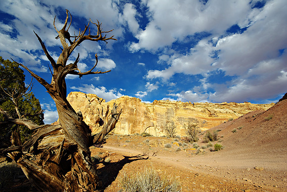 Upper Crack Canyon 10