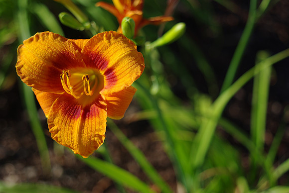 f3.5