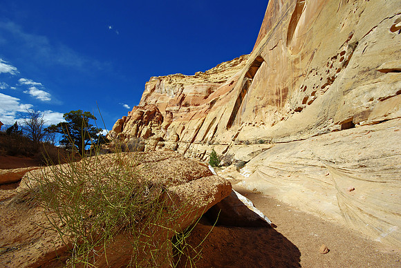 Upper Crack Canyon 3