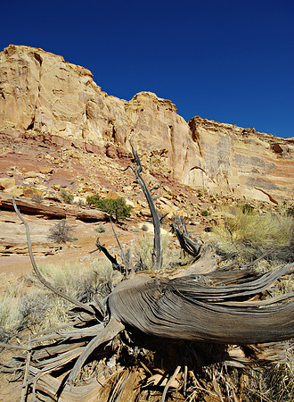 Upper Crack Canyon 2