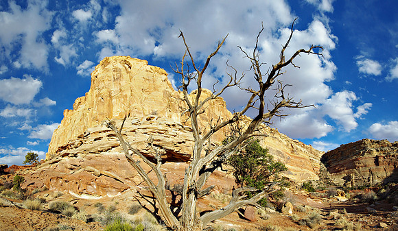 Upper Crack Canyon Pano