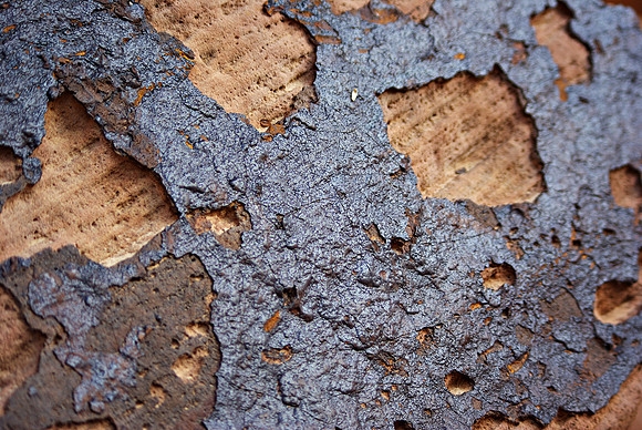 Desert Varnish Detail