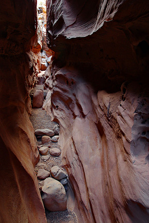Little Wildhorse Canyon #1